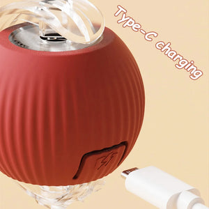 Smart Ball Pet Toy