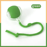 Smart Ball Pet Toy
