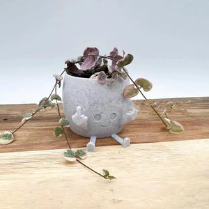 Middle Finger Planter