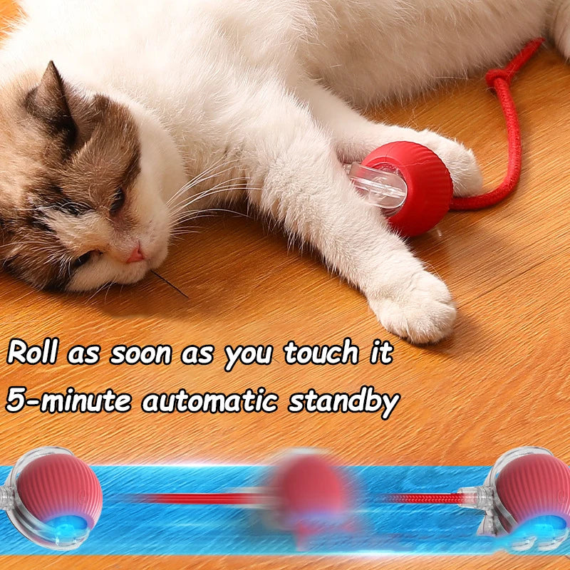 Smart Ball Pet Toy