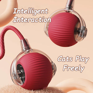 Smart Ball Pet Toy