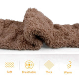 The Cozy Teddy Socks