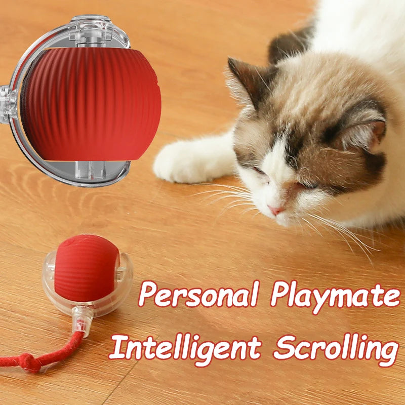Smart Ball Pet Toy