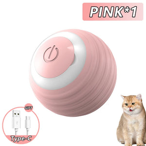 Smart Ball Pet Toy