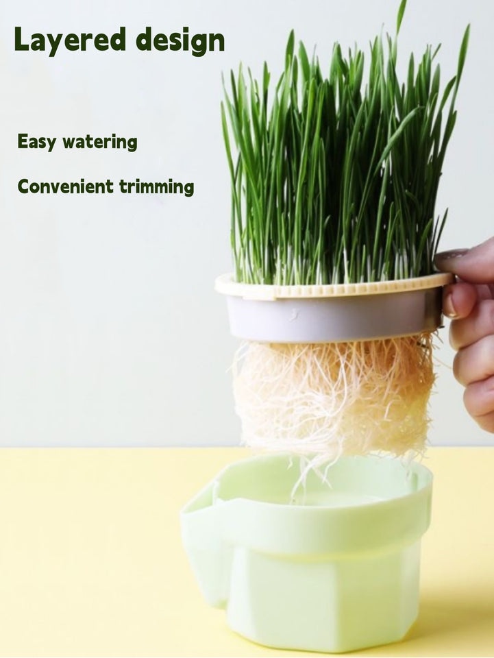 CAT GRASS CUP