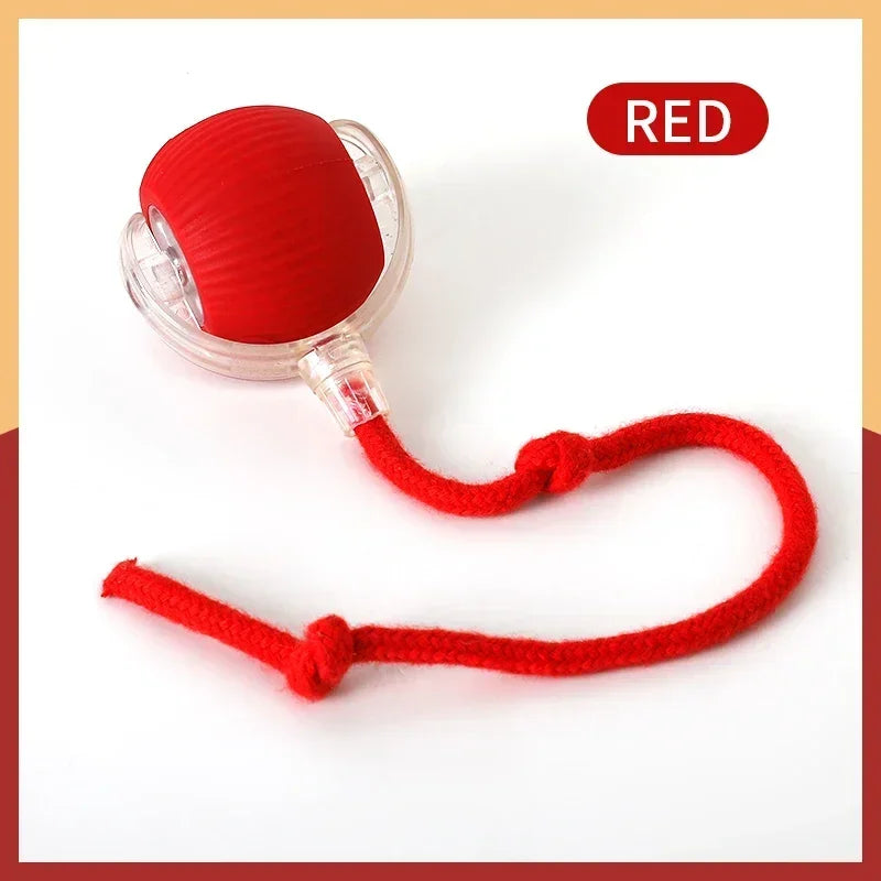 Smart Ball Pet Toy