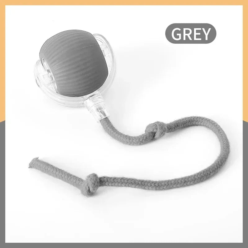 Smart Ball Pet Toy