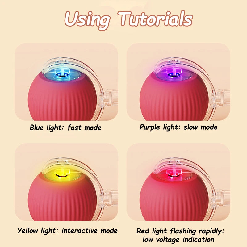 Smart Ball Pet Toy