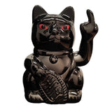 Angry Cat