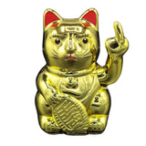 Angry Cat