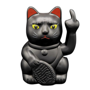 Angry Cat