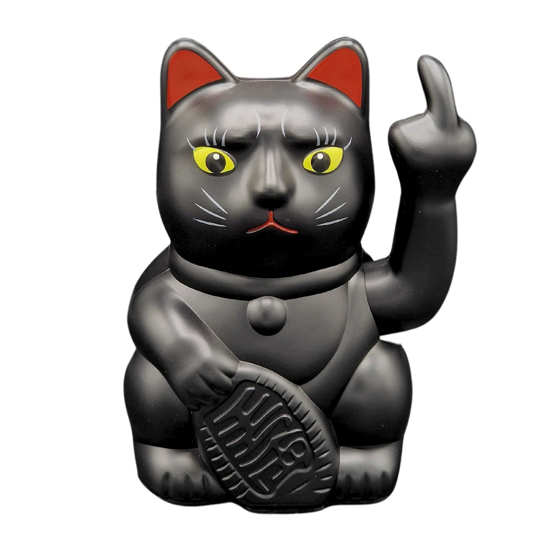 Angry Cat