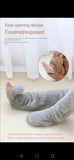 The Cozy Teddy Socks
