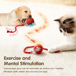 Smart Ball Pet Toy