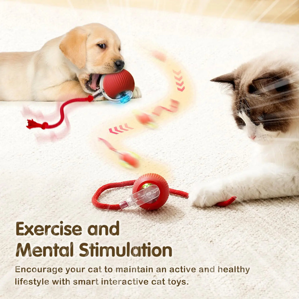 Smart Ball Pet Toy