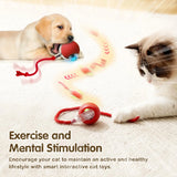 Smart Ball Pet Toy